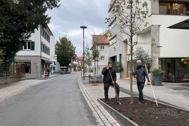 Bäume wurden gepflanzt. ⇒Stadt Dornbirn