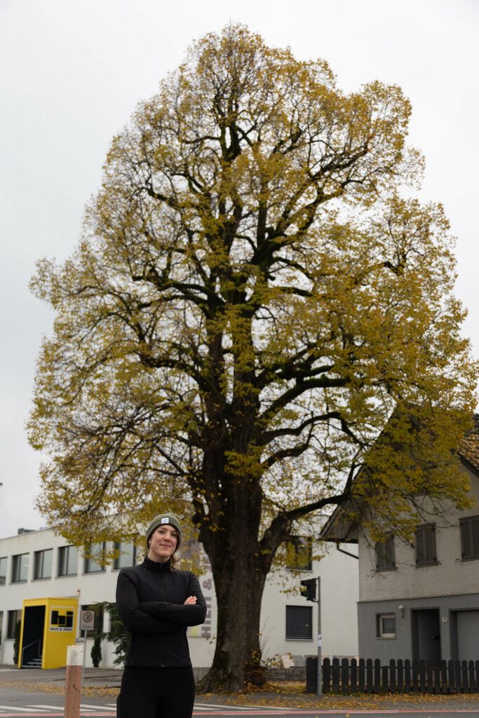 Helena Schütte und die 150 Jahre alte Linde, die sie liebevoll „Lala“ nennt. Oben: Illustration des Quartierprojekts „Viertel vor Feldkirch“. ⇒Hartinger, Hilti & ⇒Jehle