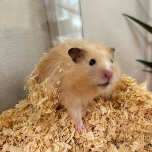 Finde deinen neuen Freund