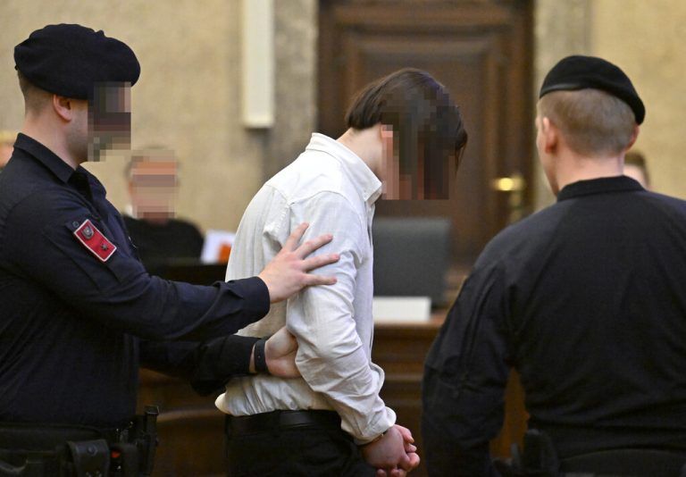 Wiener Landesgericht: Der 18-Jährige Angeklagte ist geständig.⇒apa/hans-klaus techt