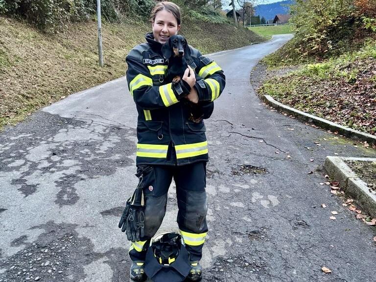 Wohlauf: Die gerettete Hündin Ella.⇒feuerwehr röthis