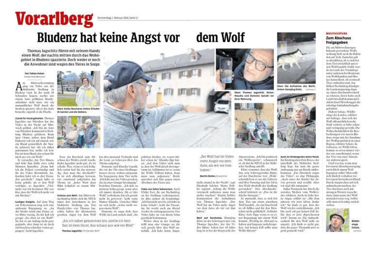 Ein Wolf wurde in Bludenz in einem Wohngebiet gesichtet.⇒NEUE