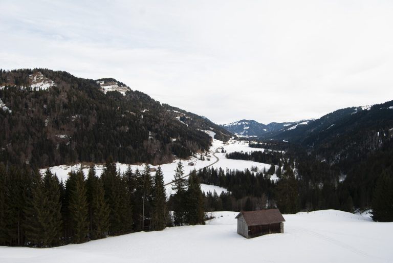 Das Jagdgebiet Hittisau II zeigte vor, wie bei seit acht Jahren reguliertem Rotwildbestand ohne Fütterung der Wald sich erholt, auch wenn es Jahre dauert. ⇒bereuter (3)