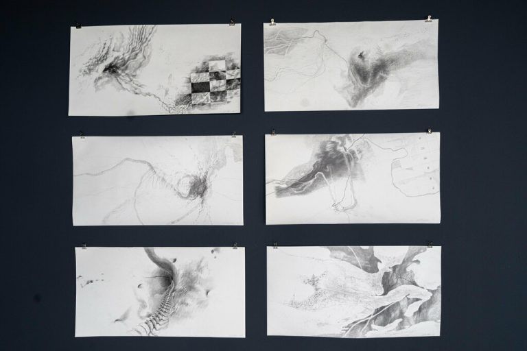 Die Zeichnungen von Leinfellner führen Betrachter in eine Welt, in der organisches und topographisches miteinander verschmelzen. ⇒STIPLOVSEK(4)