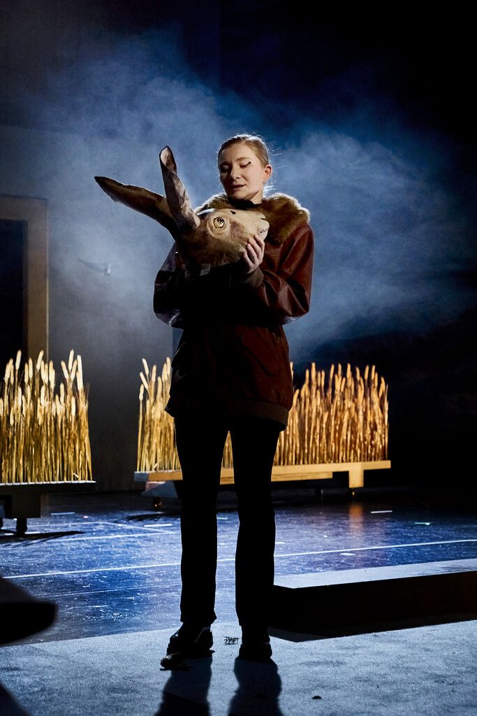 Das Schauspiel nimmt eine tierische Wendung. ⇒Köhler(2)