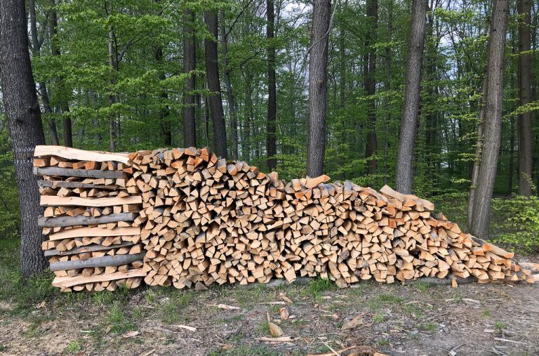 Durch die Satzungsänderung erhalten künftig auch Witwen von Agrar-Mitgliedern ein vollständiges Holzlos. ⇒Hartinger