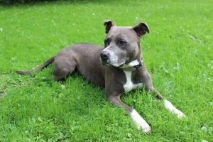 Ein Für-immer-Zuhause