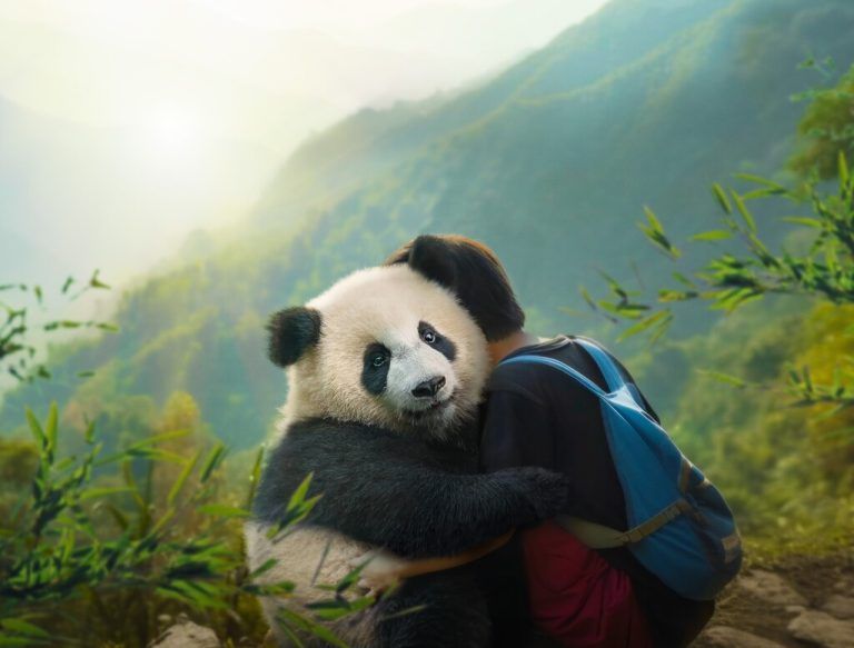 Das Pandababy bringt Chaos in sein Leben. ⇒filmladen