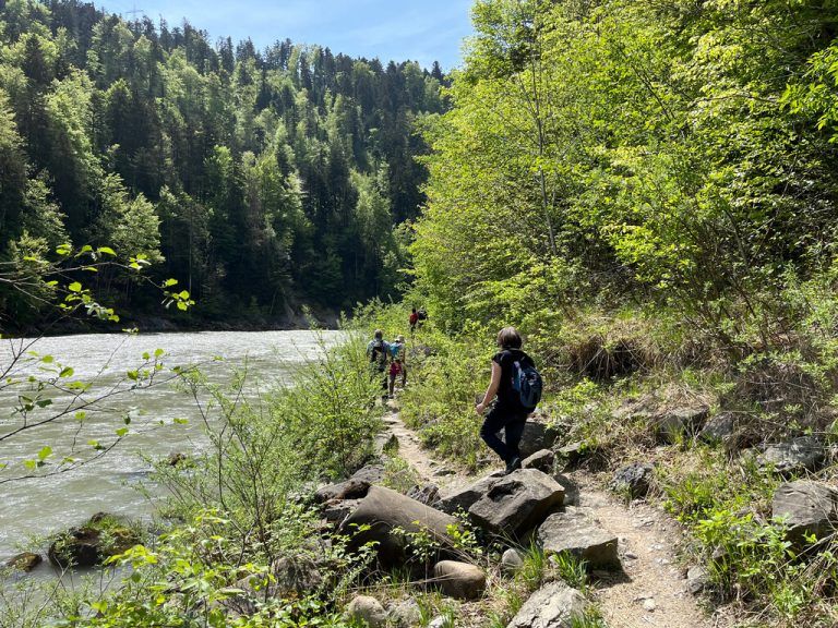 Der Achtalweg zwischen Doren und Kennelbach bietet eine Abenteuerwanderung in einem Gebiet, das als Natura-2000-Lebensraum besonders geschützt ist.⇒NEUE (2); Bereuter (3)