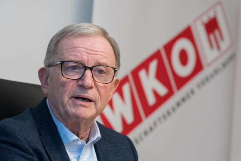 WKV-Präsident Karlheinz Kopf.Dietmar Stiplovsek