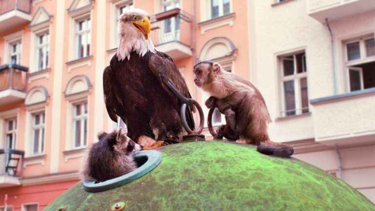 Akiko und seine tierische Crew. ⇒welan