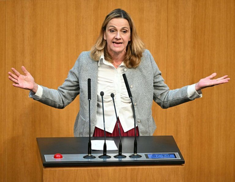 Die Aussage von Dagmar Belakowitsch (FPÖ) ließ österreichweit die Wogen hochgehen.⇒APA