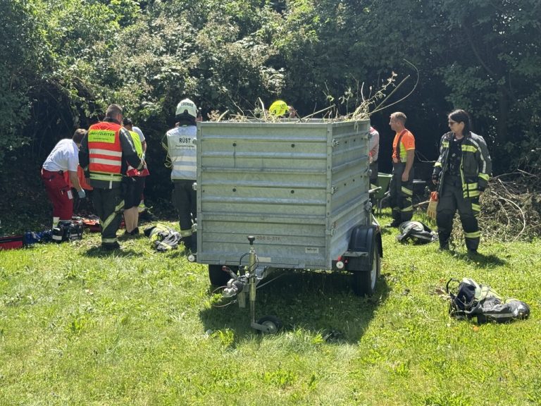 Die Freiwillige Feuerwehr trennte die Heugabel ab.⇒Vol.at/Vlach