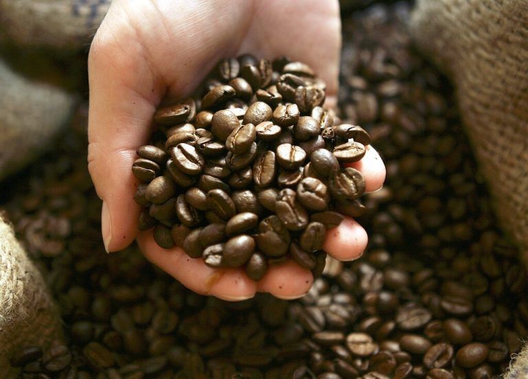 Die Kaffeeindustrie steckt in einer schwierigen Phase. ⇒apa