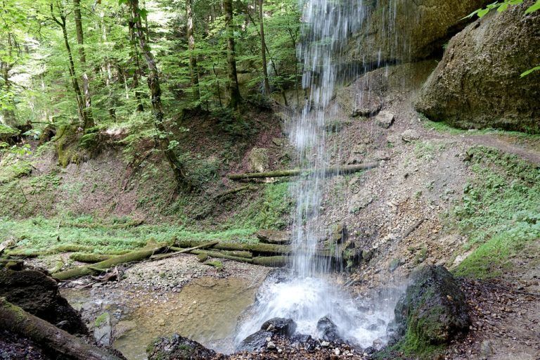 Spannender Erlebnispfad im Wald