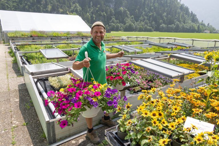 Im Frühling blüht der Fri-Ma Hof mit Balkonblumen und Stauden in voller Farbenpracht