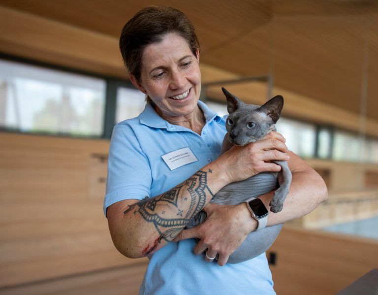 Tierärztin Stefanie Siciliano erklärt, warum Sphynx-Katzen trotz ihres besonderen Aussehens ein Leben mit Einschränkungen führen müssen. ⇒⇒adobe Express, schäfer