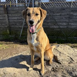 Ein Besuch im Tierheim