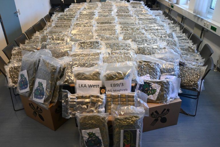Die Arbeitsgruppe Maghreb erzielte einen ungewöhnlichen Blütenfund an einem Wiener Blumenmarkt. Über 300 Kilo Cannabiskraut konnten die Ermittler sicherstellen.⇒APA/LPD Wien