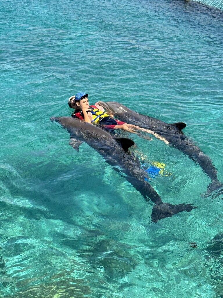 Emilian strahlt im Wasser: Die Delfintherapie schenkt ihm Ruhe und intensive Momente der Nähe, immer begleitet von erfahrenen Therapeuten.⇒privat