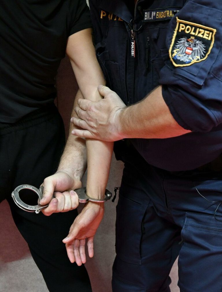 Bei der Festnahme wurde ein Beamter schwer verletzt. ⇒neue