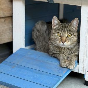 Ein neues Familienmitglied