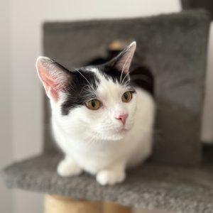 Ein Freund fürs Leben