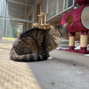 Ein ruhiger Platz gesucht