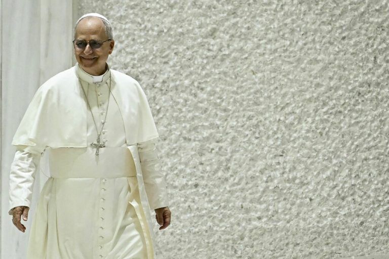 Papst Leo XIV.⇒aFP/monteforte