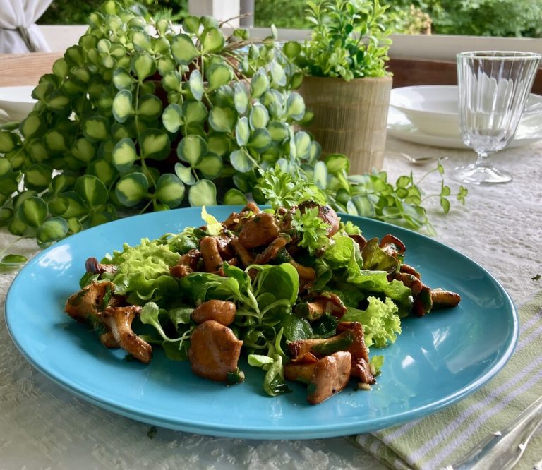Sommerlich leicht und herzhaft zugleich: Blattsalate mit warmem Schwammerl-Topping und feinem Dressing.⇒Ulrike Hagen