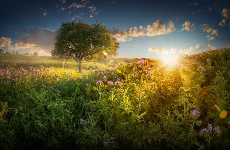 Die besten Natur-, Tier- und Landschaftsfotos aus aller Welt sind am 1. Oktober im Festspielhaus Bregenz zu sehen.