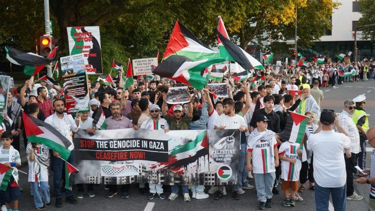 Einige Hundert Menschen waren bei der Demo in Bregenz.⇒VA