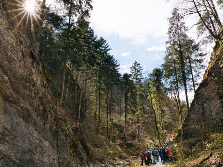 Tickets für die Natursafaris und weitere Infos findet man unter www.bodensee-vorarlberg.com.Bodensee Vorarlberg Tourismus, Vorarlberg Tourismus, Katholische Kirche Vorarlberg, Hohenems Tourismus