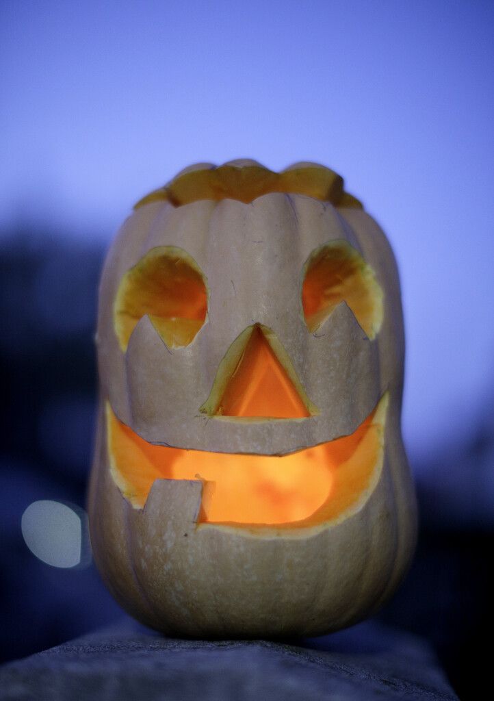 Beim Einkauf für Halloween fallen 32 Prozent auf Kürbisse.⇒apa