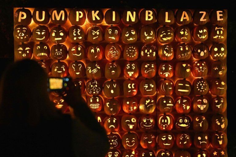 Zierkürbisse sind sehr gefragt. ⇒AFP