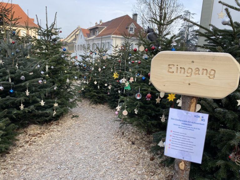 Zauberwald und Lichterspiel