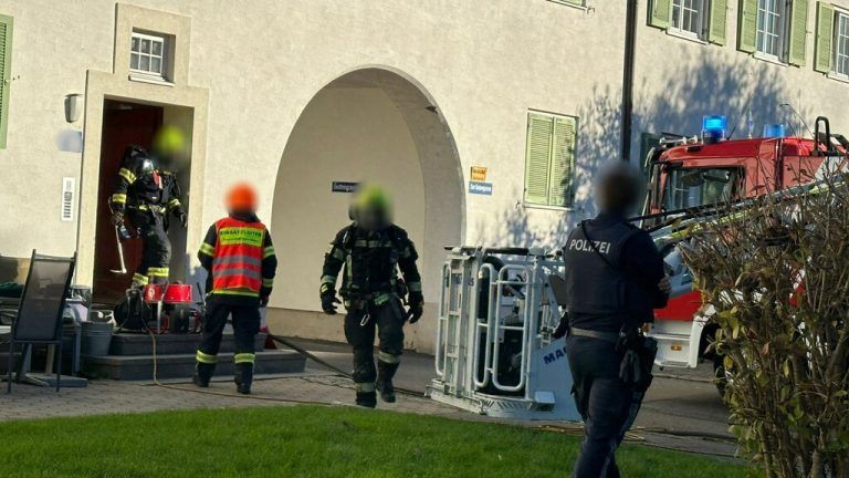 Brand: Vögel verendet