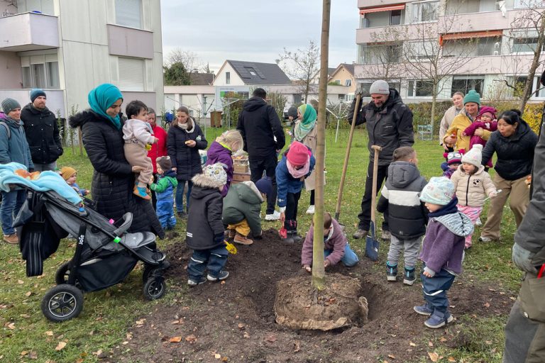 Bei einer Pflanzaktion am Spielplatz Sandgasse wurden zwei neue Bäume gesetzt. ⇒Stadt Dornbirn