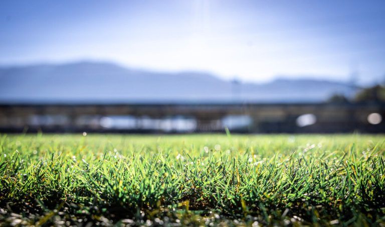 Beim SCR Altach werden die Erfahrungen aus der Ausnahmesituation genutzt, um die Strukturen nachhaltig weiterzuentwickeln.⇒Verein