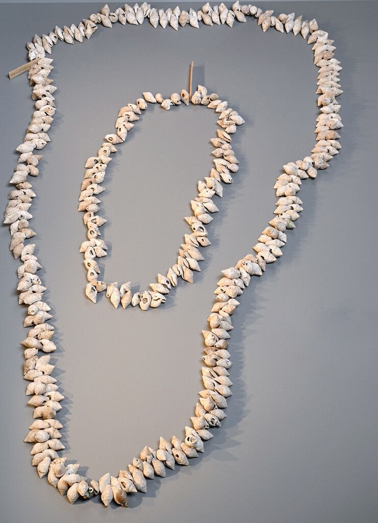 Eine in Niederösterreich entdeckte Kette aus Columbella-rustica-Schnecken.⇒NHM/Potter