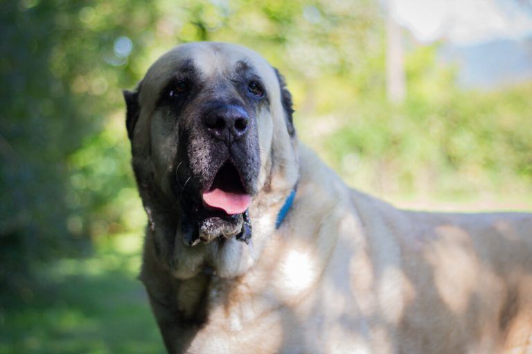 Verschenke kein Leben!