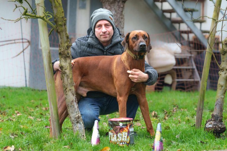 Michael Lecker im Gespräch mit der NEUE (l.) und mit Hund Malik und seinen geräuscharmen Feuerwerksartikeln für Silvester (r.). ⇒⇒stiplovsek (2)