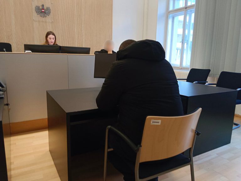 Der angeklagte 27-Jährige zeigte sich reumütig. ⇒NEUE/FRICK