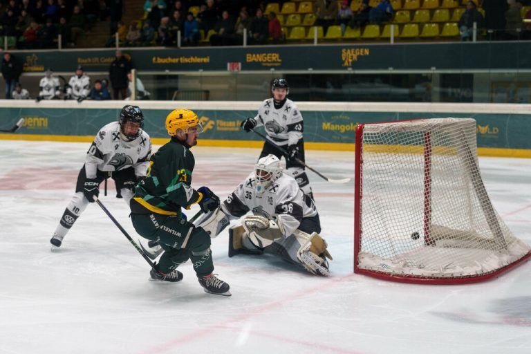 Der EHC Lustenau spielte gestern mit den Bulldogs wieder Katz und Maus. Die Löwen gewann in der Rheinhalle mit 11:1. ⇒Dietmar Stiplovsek