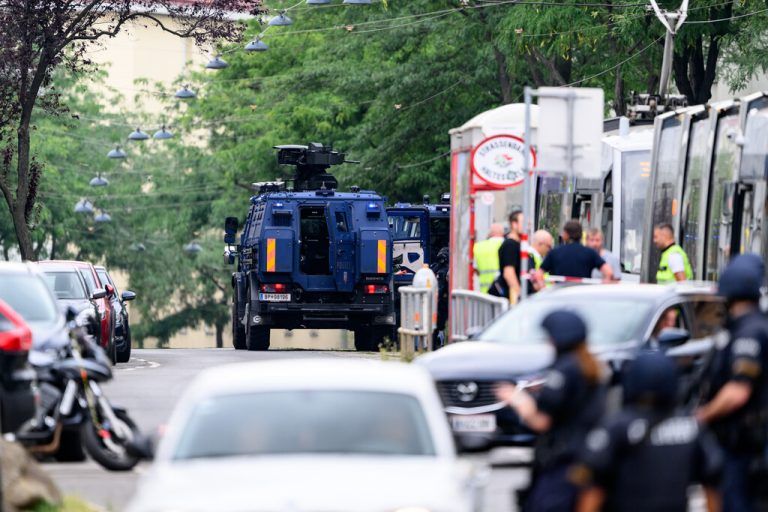 Der Vorfall im Juli löste einen Großeinsatz der Polizei aus.⇒APA