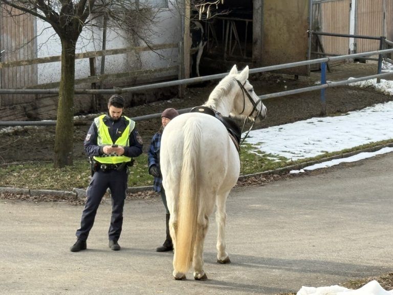 Abgelenkt und gegen Brückenmauer geprallt