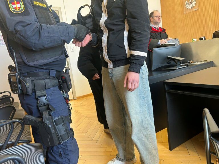 Der Angeklagte sitzt seit 10. Jänner in U-Haft.⇒Neue