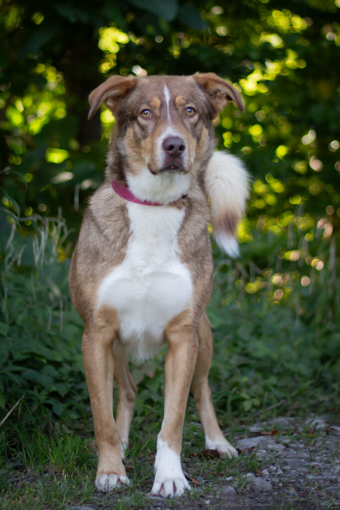 Die treue Seele Slotty.