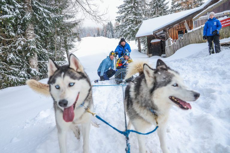 Tierische ­Begegnung