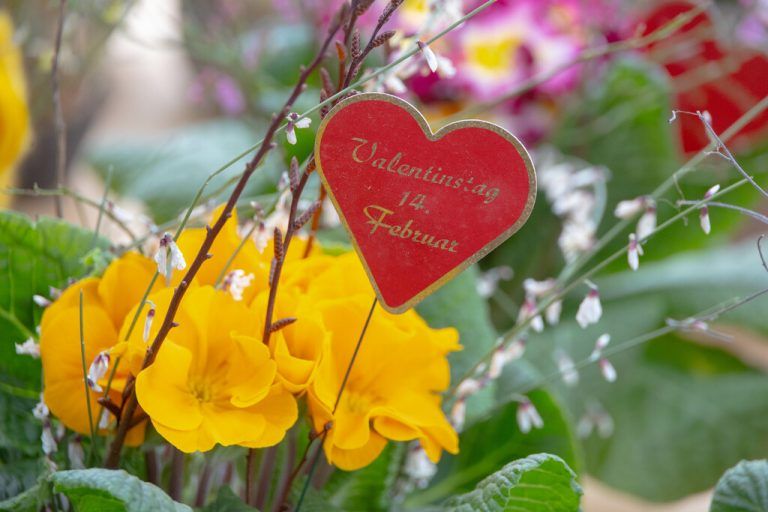 85 Euro für Geschenke